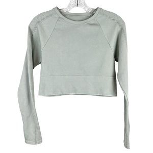 NWT Aerie Offline big chill blue seamless long leave cropped workout top size L